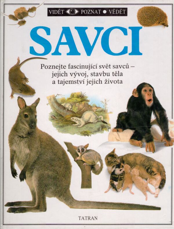 Steve Parker: SAVCI