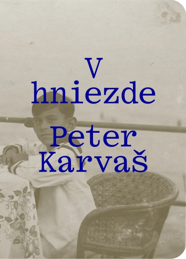 Peter Karvaš: V HNIEZDE