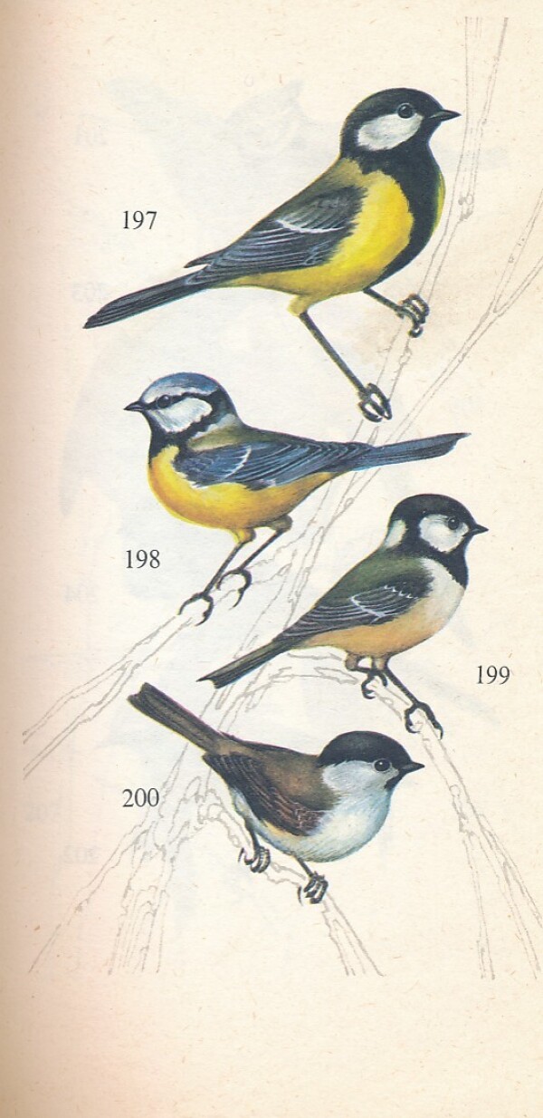 ATLAS CHRÁNENÝCH ŽIVOČÍCHOV SLOVENSKA