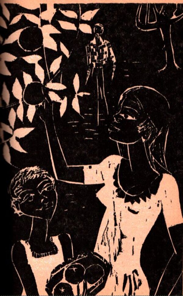 Thomas Mayne Reid: KRÁSNA OTROKYŇA