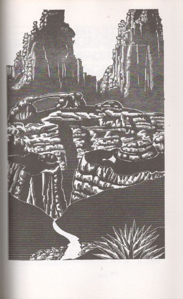 Zane Grey: JAZDEC V MASKE