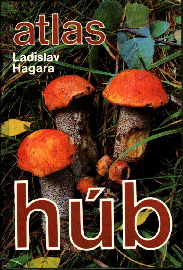 Ladislav Hagara: