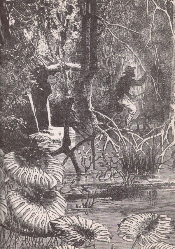 Jules Verne: PÄTNÁSŤROČNÝ KAPITÁN
