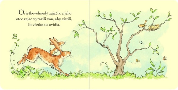 Sam McBratney: JA SA VIDÍM!