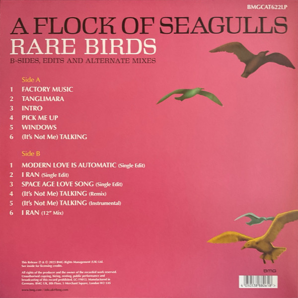 A Flock of Seagulls: RARE BIRDS - LP