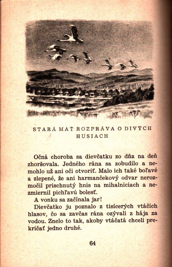 Mária Jančová: ROZPRÁVKY STAREJ MATERE