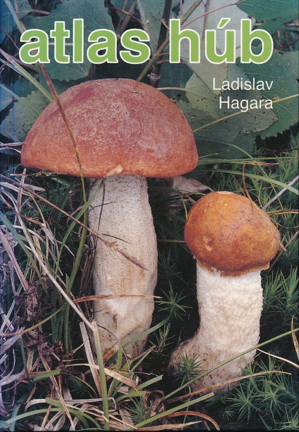 Ladislav Hagara: ATLAS HÚB