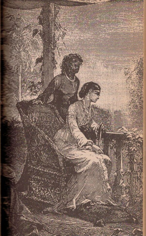 Jules Verne: OSEMSTO MÍĽ PO AMAZONE