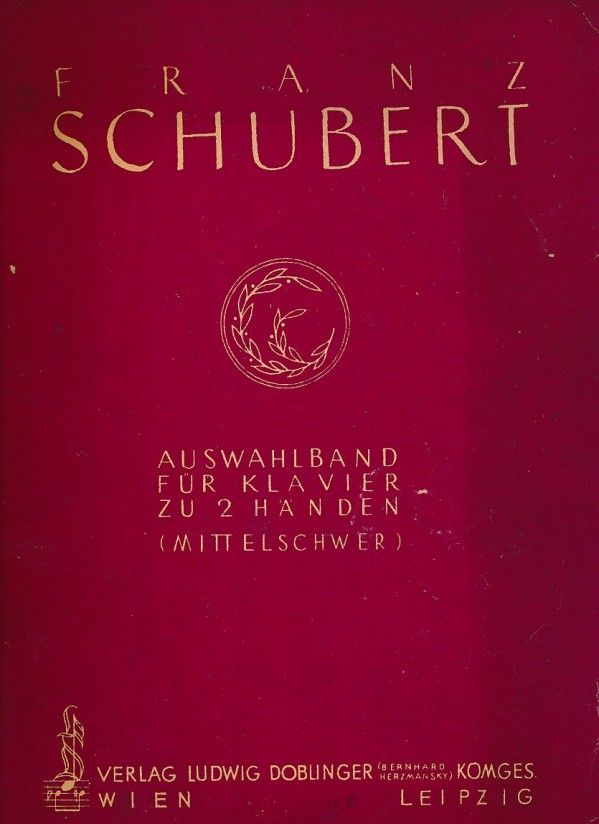 Franz Schubert: AUSWAHLBAND FÜR KLAVIER ZU 2 HÄNDEN (MITTELSCHWER)