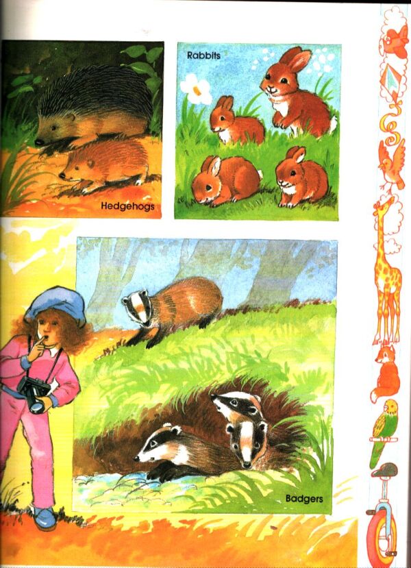 Anna McKie: MY FIRST BOOK OF LEARNING