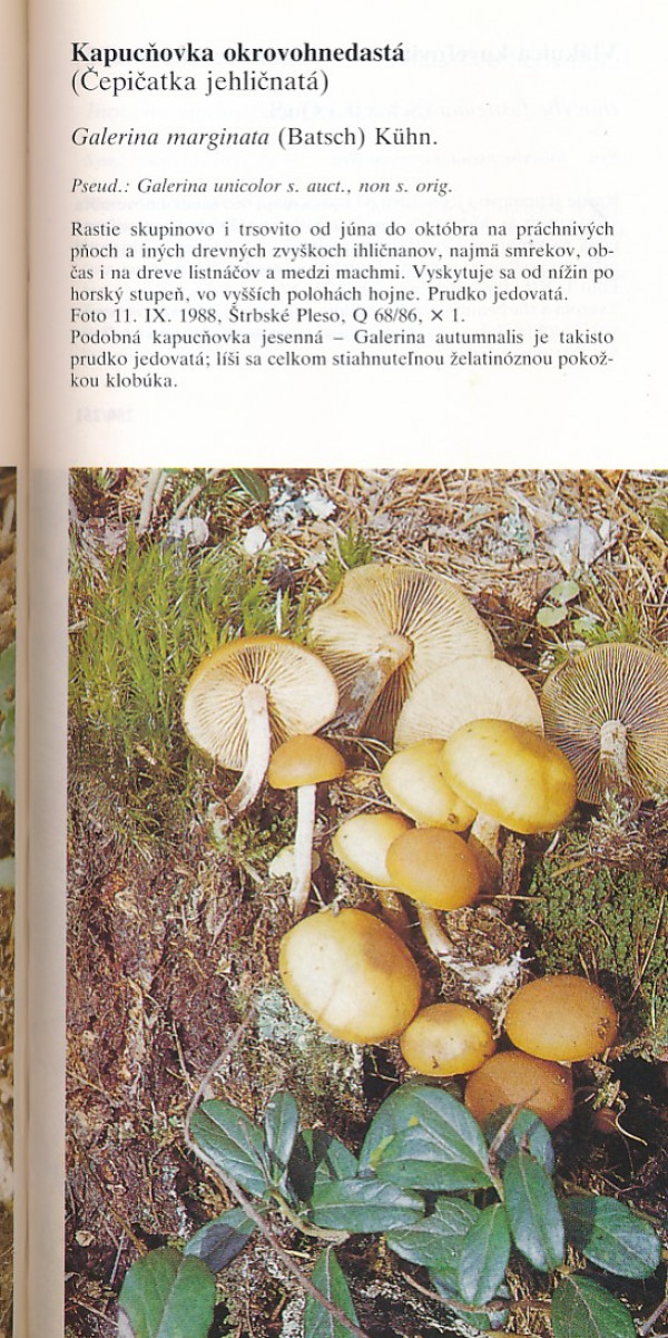 Ladislav Hagara: HUBY - DVOJNÍKY
