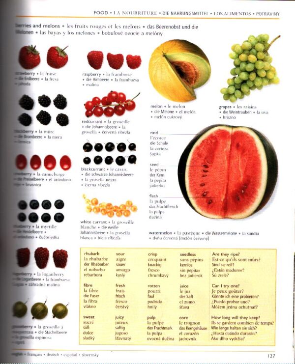 PÄŤJAZYČNÝ OBRAZOVÝ SLOVNÍK