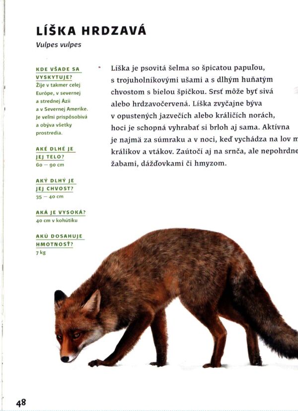 M. Hyžná, M. Hyžný: ZVIERATÁ SLOVENSKA