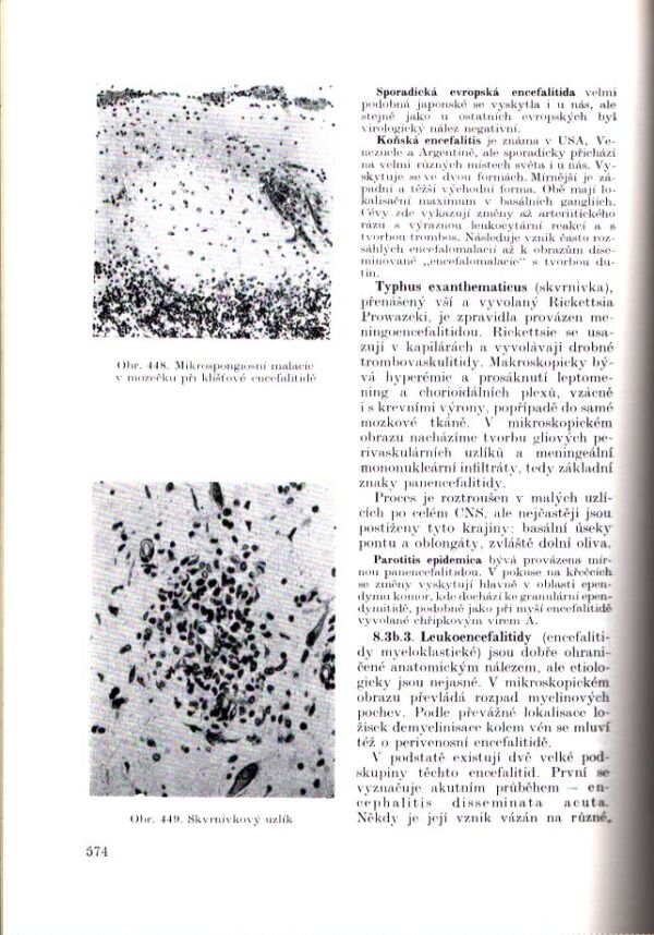 B. Bednář a kol.: UČEBNICE PATOLOGICKÉ ANATOMIE