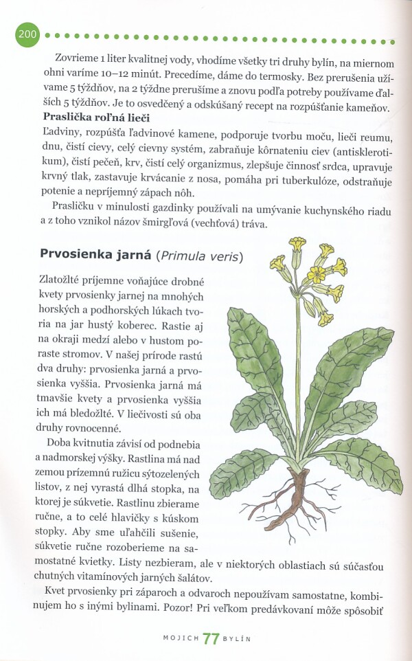 Viola Haršániová: MOJICH 77 BYLÍN