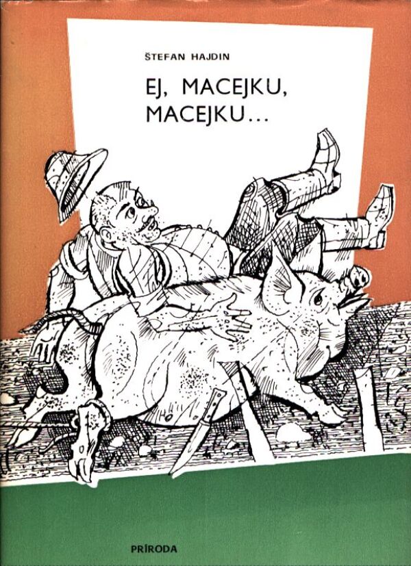 Štefan Hajdin:
