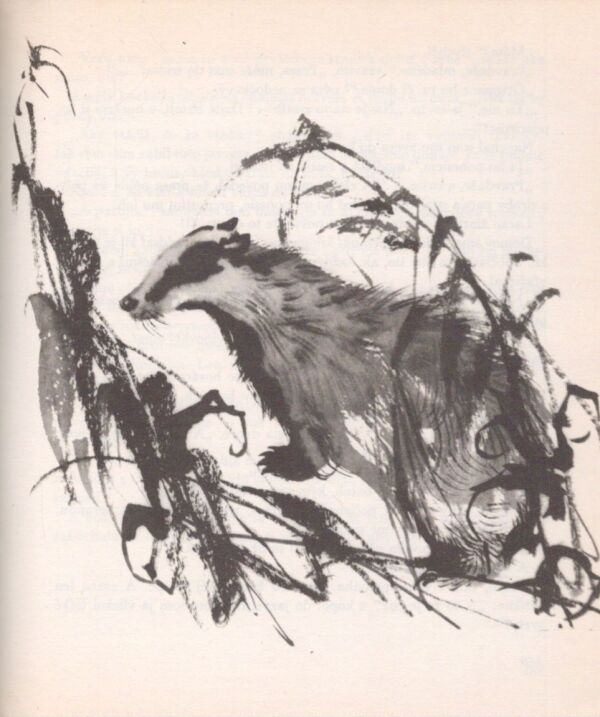 Rudo Moric: Z POĽOVNÍCKEJ KAPSY