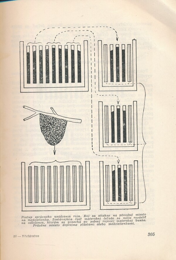 Koloman NOvacký: VČELÁRSTVO