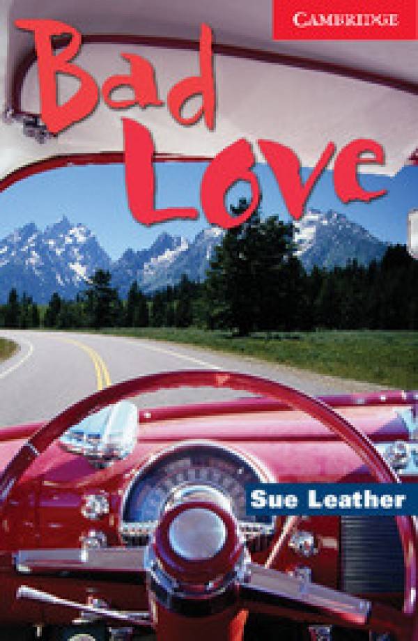 Sue Leather: BAD LOVE