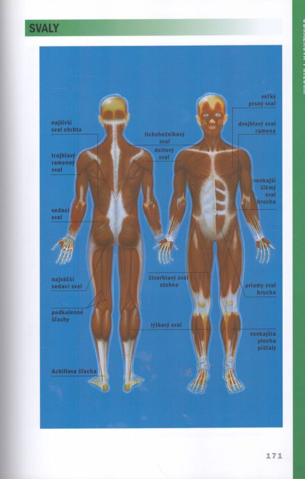 RODINNÝ DOMÁCI LEKÁR