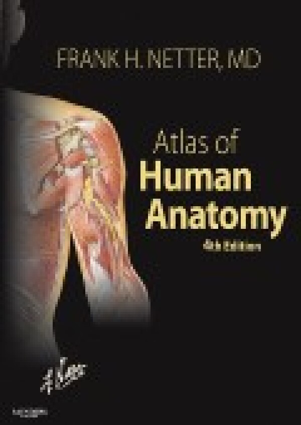 Frank H. Netter: ATLAS OF HUMAN ANATOMY