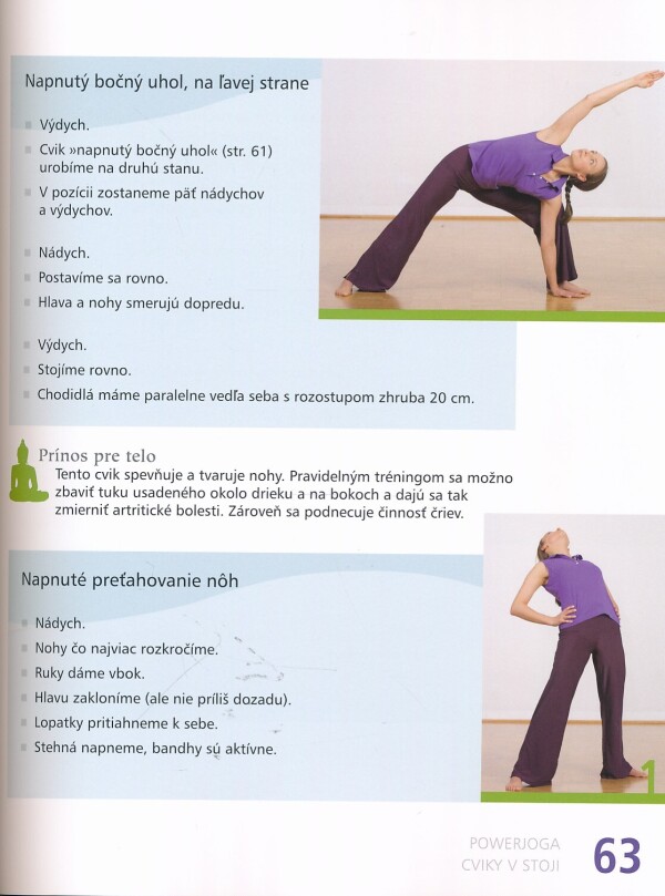 Christa G. Tranzinski, Robert S. Polster: POWERJOGA