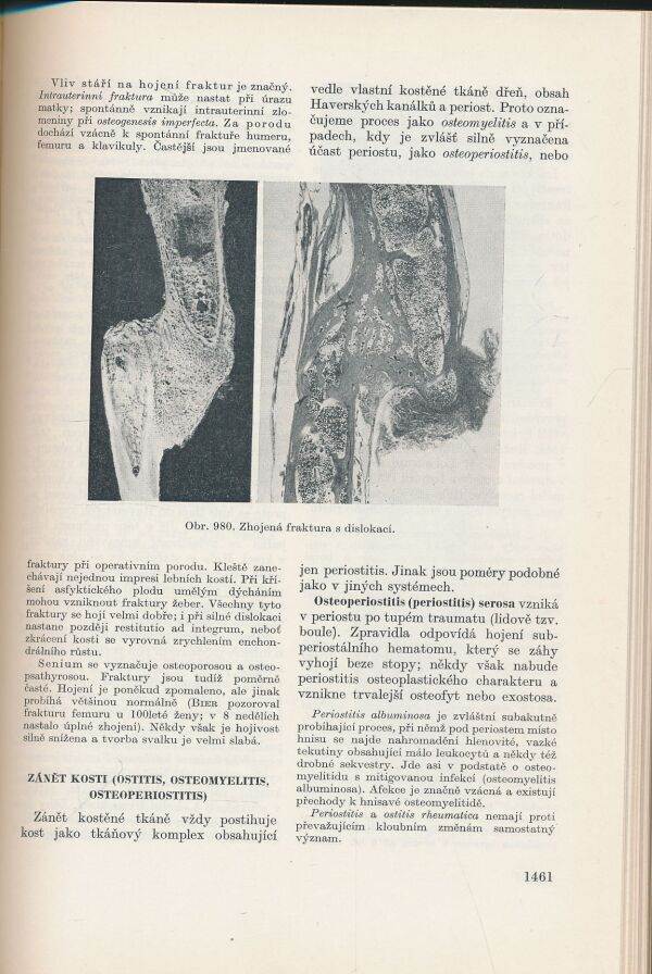 Kolektív autorov: Patologická anatomie II
