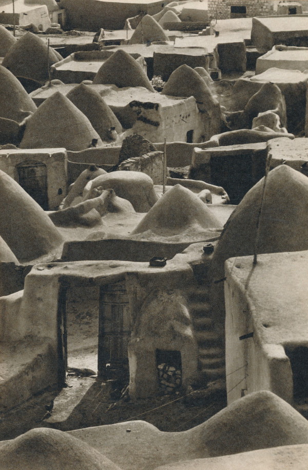 Miroslav Zikmund, Jiří Hanzelka: TISÍC A DVE NOCI