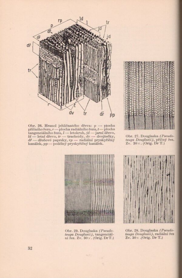 Jaroslav Lexa a kol.: MECHANICKÉ A FYZIKÁLNE VLASTNOSTI DREVA