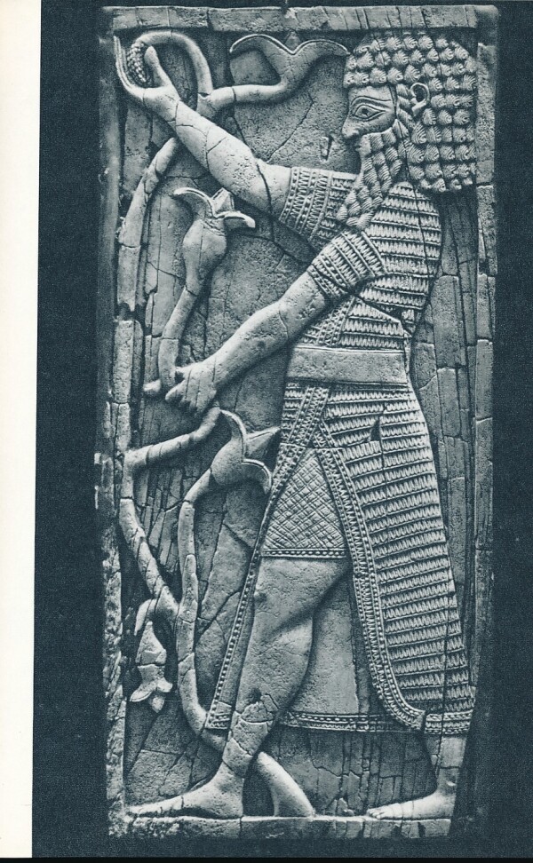 Jana Součková: STAROVĚKÝ PŘEDNÍ VÝCHOD