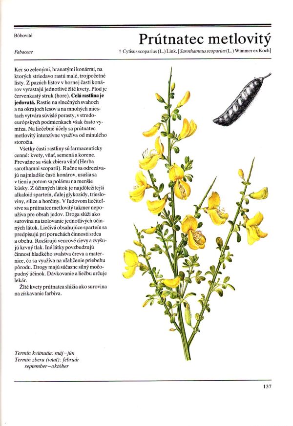 J. Volák, J. Stodola, F. Severa: VEĽKÁ KNIHA LIEČIVÝCH RASTLÍN