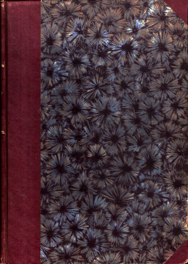 Miloš Janoška: KRÁSY SLOVENSKA - ROČNÍK VII 1928