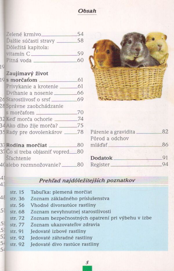 Michael Mettler: MORČATÁ