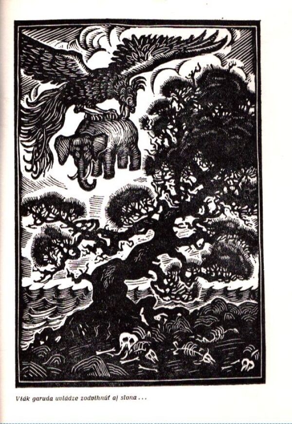 Léonce Peillard: MAGELLAN