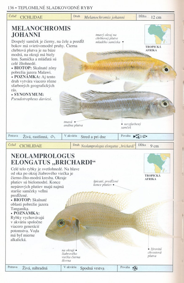 Dick Mills: AKVÁRIOVÉ RYBY