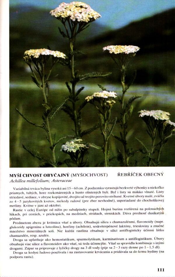 J. Kresánek, D. Dugas: PRÍRUČNÝ ATLAS LIEČIVÝCH RASTLÍN