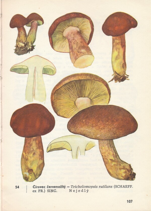 A. Pilát, O. Ušák: VRECKOVÝ ATLAS HÚB