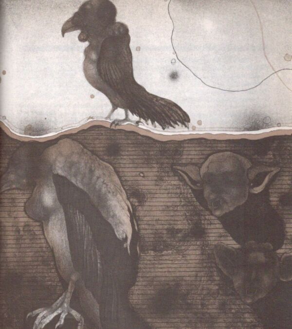 Edgar Allan Poe: HAVRAN A INÉ BÁSNE