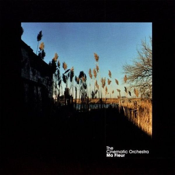 The Cinematic Orchestra: