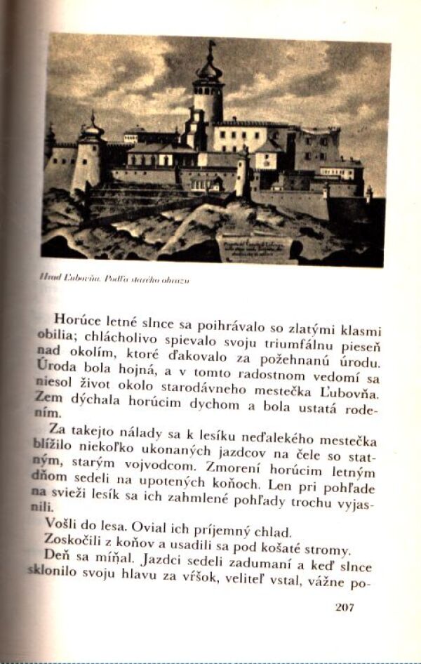 Ľudovít Janota: SLOVENSKÉ HRADY