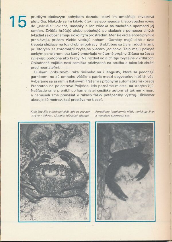 Emil Topercer: Pod hladinou mora