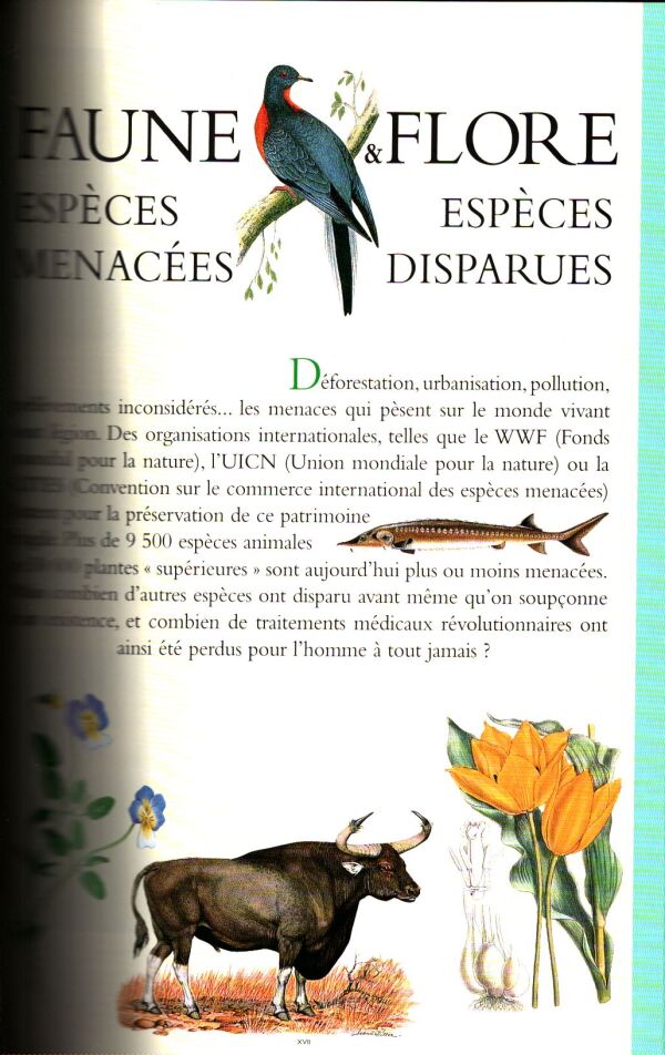 LE PETIT LAROUSSE - GRAND FORMAT