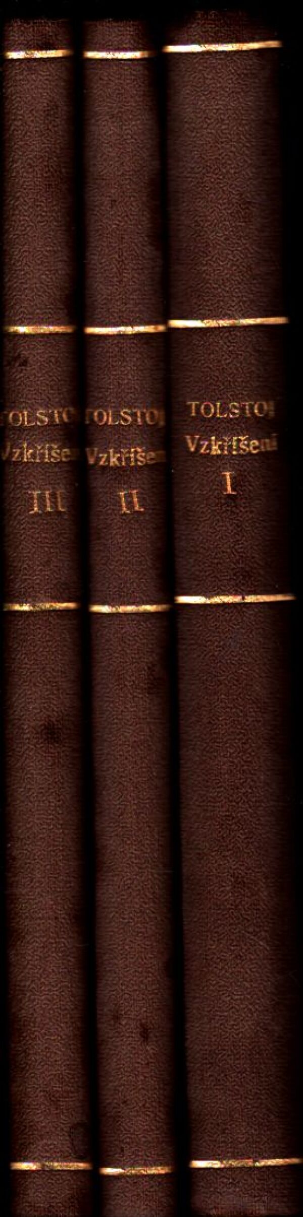 Lev Nikolajevič Tolstoj: VZKŘÍŠENÍ I-III