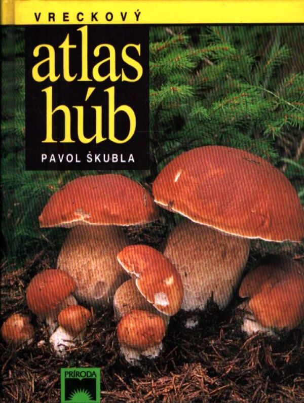 Pavol Škubla: