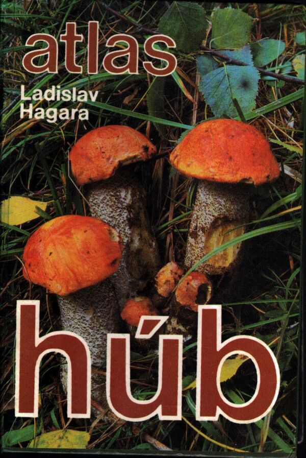 Ladislav Hagara: ATLAS HÚB