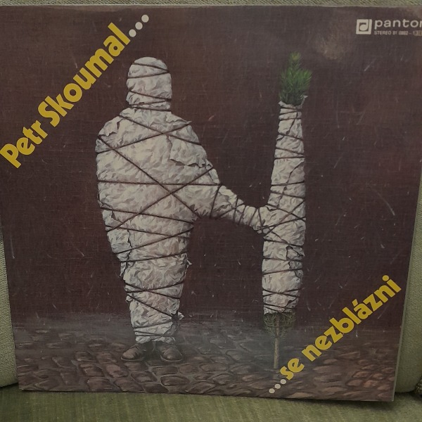 Petr Skoumal: