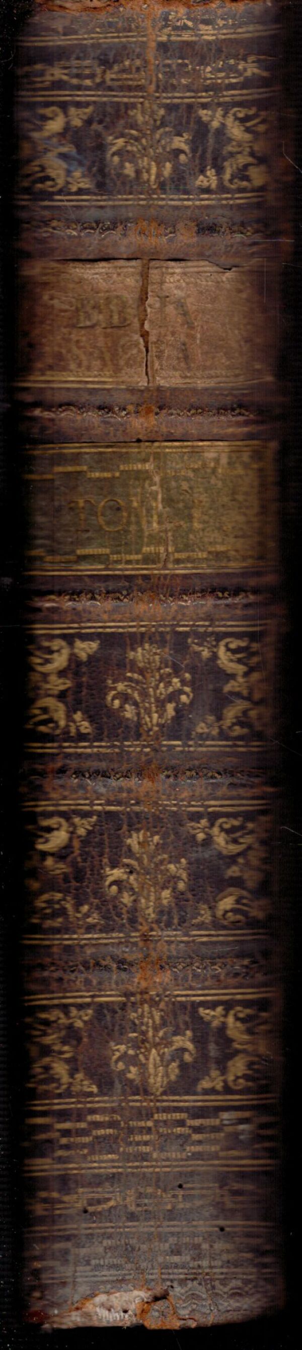 BIBLIA SACRA VULGATAE EDITIONIS