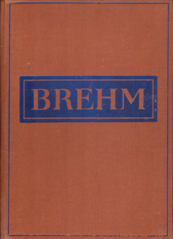 Alfred Brehm: