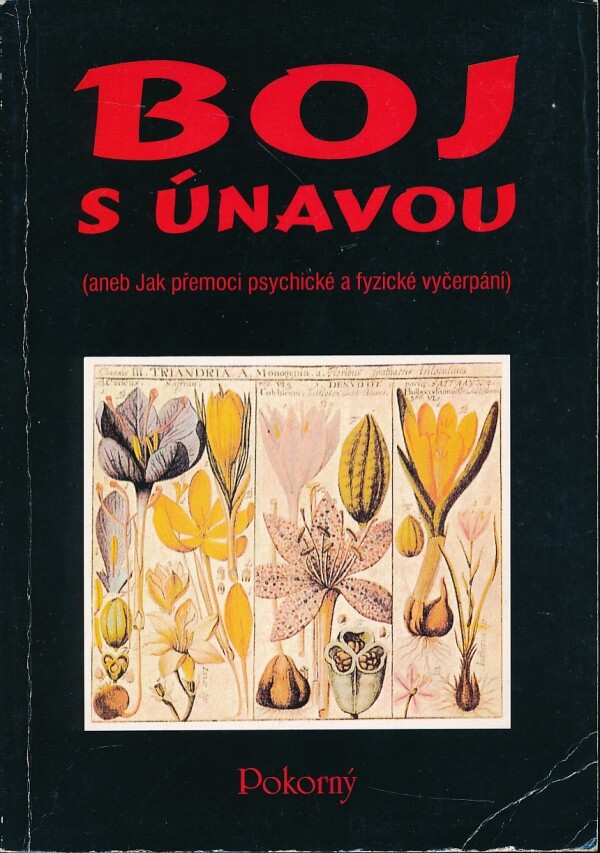 Ján Svátek: BOJ S ÚNAVOU