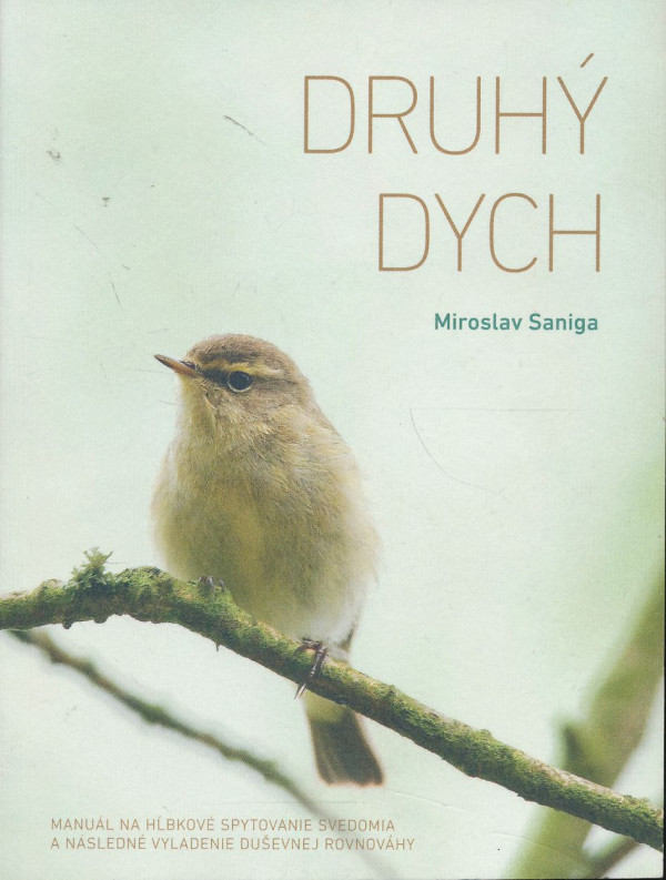 Miroslav Saniga: Druhý dych